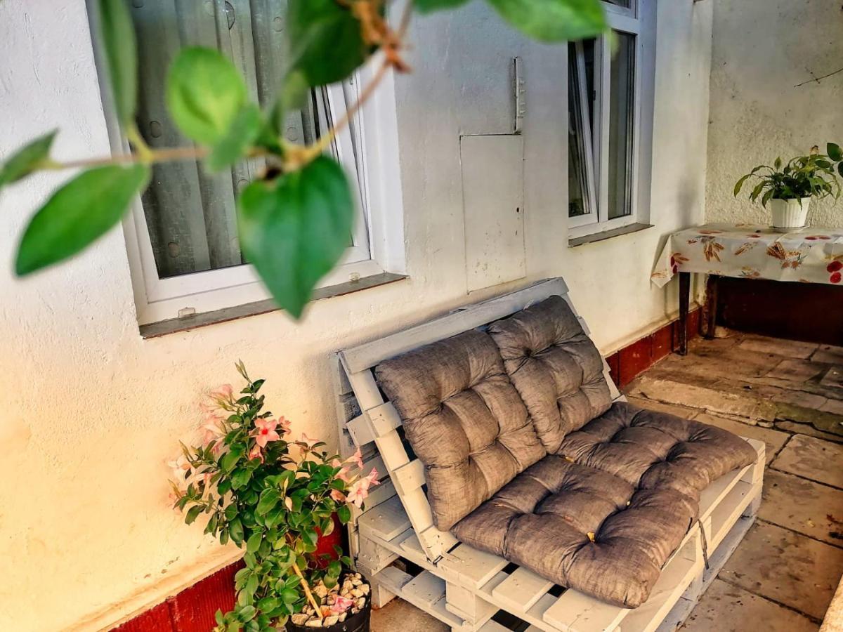 Zen Studio Brasov Ngoại thất bức ảnh